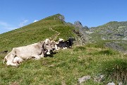 03 Buona salita, in alto a dx il Ponteranica centr. (2372 m),  accanto il Valletto (2371) e il Triomen (2345 m) 